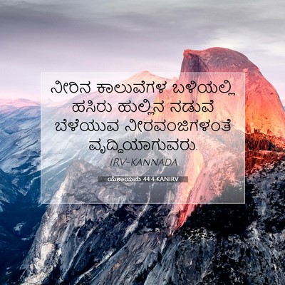 Picture 07 - ಯೆಶಾಯನು 44:4 KANIRV - ನೀರಿನ ಕಾಲುವೆಗಳ - Bible Verse Picture