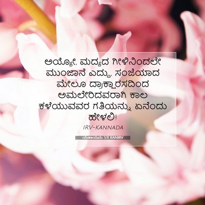 Picture 07 - ಯೆಶಾಯನು 5:11 KANIRV - ಅಯ್ಯೋ, ಮದ್ಯದ - Bible Verse Picture