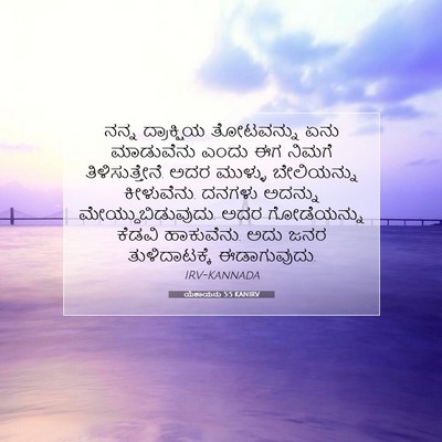 Picture 07 - ಯೆಶಾಯನು 5:5 KANIRV - ನನ್ನ ದ್ರಾಕ್ಷಿಯ - Bible Verse Picture
