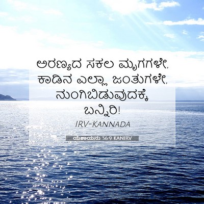 Picture 07 - ಯೆಶಾಯನು 56:9 KANIRV - ಅರಣ್ಯದ ಸಕಲ ಮೃಗಗಳೇ, - Bible Verse Picture