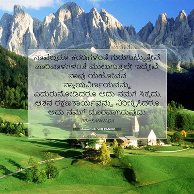 Picture 07 - ಯೆಶಾಯನು 59:11 KANIRV - ನಾವೆಲ್ಲರೂ - Bible Verse Picture