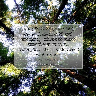 Picture 07 - ಯೆಶಾಯನು 65:20 KANIRV - ಕೆಲವು ದಿನ ಮಾತ್ರ - Bible Verse Picture