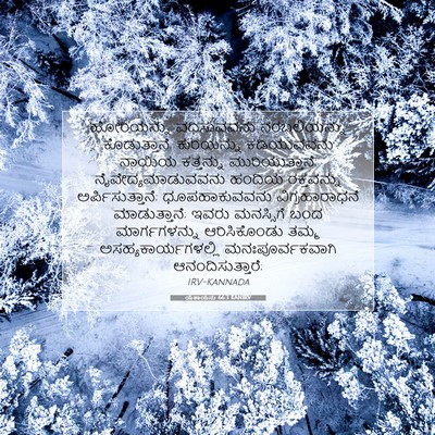 Picture 07 - ಯೆಶಾಯನು 66:3 KANIRV - ಹೋರಿಯನ್ನು - Bible Verse Picture