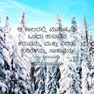 Picture 07 - ಯೆಶಾಯನು 7:21 KANIRV - ಆ ಕಾಲದಲ್ಲಿ - Bible Verse Picture
