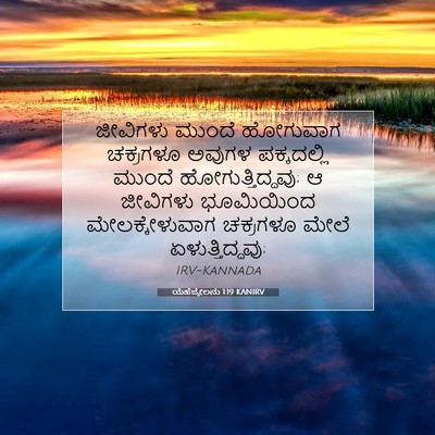 Picture 07 - ಯೆಹೆಜ್ಕೇಲನು 1:19 KANIRV - ಜೀವಿಗಳು ಮುಂದೆ - Bible Verse Picture