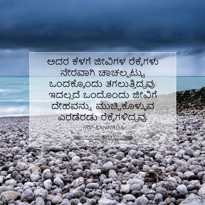 Picture 07 - ಯೆಹೆಜ್ಕೇಲನು 1:23 KANIRV - ಅದರ ಕೆಳಗೆ ಜೀವಿಗಳ - Bible Verse Picture