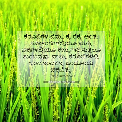 Picture 07 - ಯೆಹೆಜ್ಕೇಲನು 10:12 KANIRV - ಕೆರೂಬಿಗಳ ಬೆನ್ನು, - Bible Verse Picture