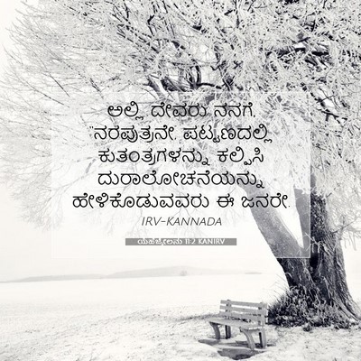 Picture 07 - ಯೆಹೆಜ್ಕೇಲನು 11:2 KANIRV - ಅಲ್ಲಿ ದೇವರು ನನಗೆ, - Bible Verse Picture