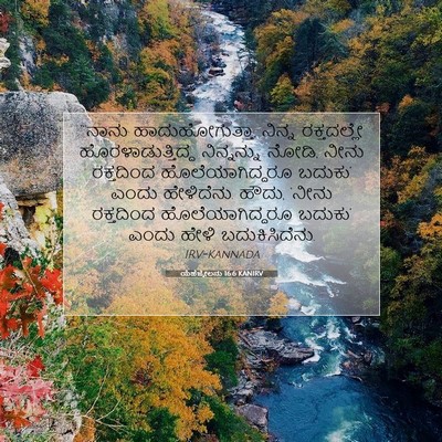 Picture 07 - ಯೆಹೆಜ್ಕೇಲನು 16:6 KANIRV - “‘ನಾನು - Bible Verse Picture