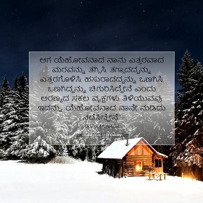 Picture 07 - ಯೆಹೆಜ್ಕೇಲನು 17:24 KANIRV - ಆಗ ಯೆಹೋವನಾದ ನಾನು - Bible Verse Picture