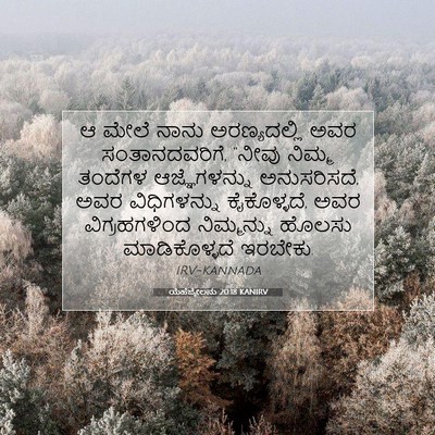 Picture 07 - ಯೆಹೆಜ್ಕೇಲನು 20:18 KANIRV - ಆ ಮೇಲೆ ನಾನು - Bible Verse Picture