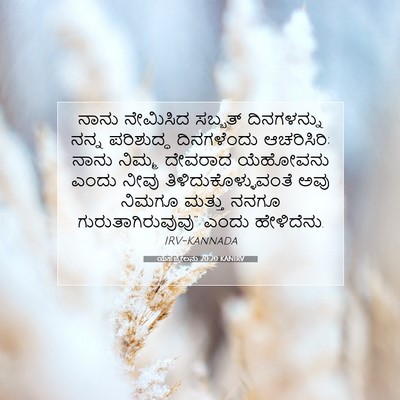Picture 07 - ಯೆಹೆಜ್ಕೇಲನು 20:20 KANIRV - ನಾನು ನೇಮಿಸಿದ - Bible Verse Picture