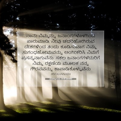 Picture 07 - ಯೆಹೆಜ್ಕೇಲನು 20:41 KANIRV - ನಾನು ನಿಮ್ಮನ್ನು - Bible Verse Picture