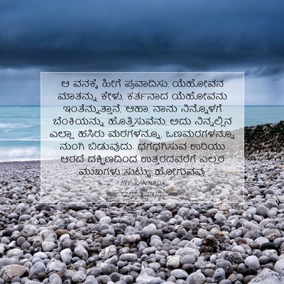 Picture 07 - ಯೆಹೆಜ್ಕೇಲನು 20:47 KANIRV - ಆ ವನಕ್ಕೆ ಹೀಗೆ - Bible Verse Picture