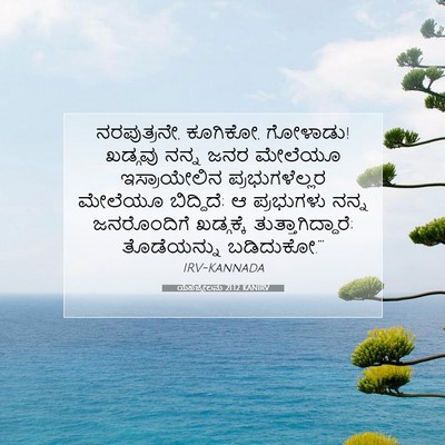 Picture 07 - ಯೆಹೆಜ್ಕೇಲನು 21:12 KANIRV - ನರಪುತ್ರನೇ, ಕೂಗಿಕೋ, - Bible Verse Picture