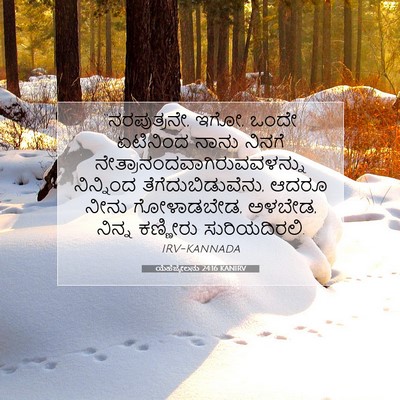 Picture 07 - ಯೆಹೆಜ್ಕೇಲನು 24:16 KANIRV - “ನರಪುತ್ರನೇ, ಇಗೋ, - Bible Verse Picture