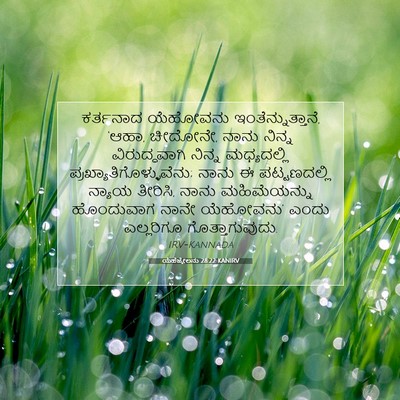 Picture 07 - ಯೆಹೆಜ್ಕೇಲನು 28:22 KANIRV - ಕರ್ತನಾದ ಯೆಹೋವನು - Bible Verse Picture