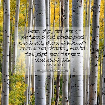 Picture 07 - ಯೆಹೆಜ್ಕೇಲನು 29:20 KANIRV - ಅವನು ಸೈನ್ಯ - Bible Verse Picture