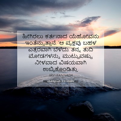 Picture 07 - ಯೆಹೆಜ್ಕೇಲನು 31:10 KANIRV - ಹೀಗಿರಲು ಕರ್ತನಾದ - Bible Verse Picture