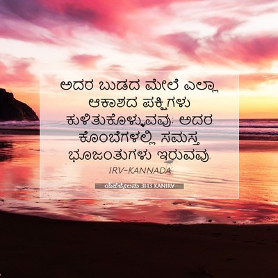 Picture 07 - ಯೆಹೆಜ್ಕೇಲನು 31:13 KANIRV - ಅದರ ಬುಡದ ಮೇಲೆ - Bible Verse Picture