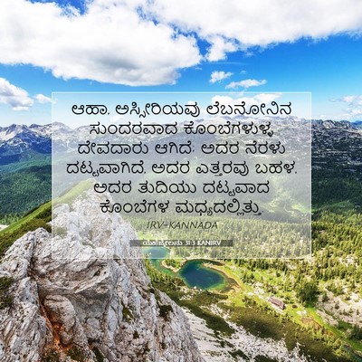 Picture 07 - ಯೆಹೆಜ್ಕೇಲನು 31:3 KANIRV - ಆಹಾ, ಅಸ್ಸೀರಿಯವು - Bible Verse Picture