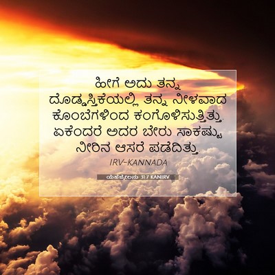 Picture 07 - ಯೆಹೆಜ್ಕೇಲನು 31:7 KANIRV - ಹೀಗೆ ಅದು ತನ್ನ - Bible Verse Picture
