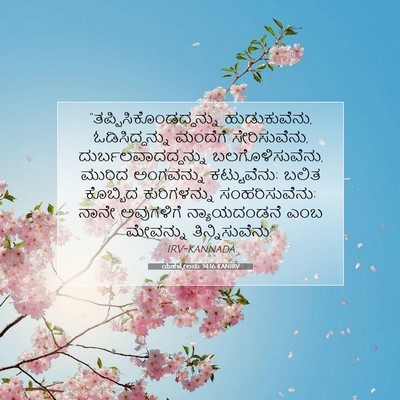 Picture 07 - ಯೆಹೆಜ್ಕೇಲನು 34:16 KANIRV -  - Bible Verse Picture