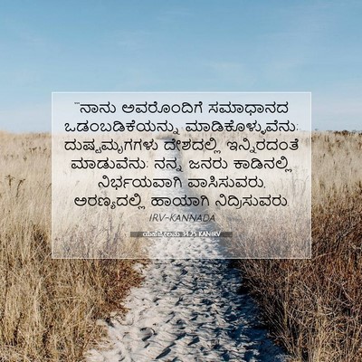 Picture 07 - ಯೆಹೆಜ್ಕೇಲನು 34:25 KANIRV - “‘ನಾನು ಅವರೊಂದಿಗೆ - Bible Verse Picture