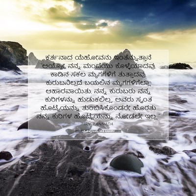 Picture 07 - ಯೆಹೆಜ್ಕೇಲನು 34:8 KANIRV - ಕರ್ತನಾದ ಯೆಹೋವನು - Bible Verse Picture