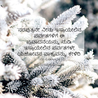 Picture 07 - ಯೆಹೆಜ್ಕೇಲನು 36:1 KANIRV - “ನರಪುತ್ರನೇ, ನೀನು - Bible Verse Picture