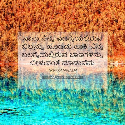 Picture 07 - ಯೆಹೆಜ್ಕೇಲನು 39:3 KANIRV - ನಾನು ನಿನ್ನ - Bible Verse Picture