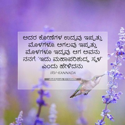 Picture 07 - ಯೆಹೆಜ್ಕೇಲನು 41:4 KANIRV - ಅದರ ಕೋಣೆಗಳ ಉದ್ದವು - Bible Verse Picture