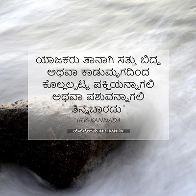 Picture 07 - ಯೆಹೆಜ್ಕೇಲನು 44:31 KANIRV - ಯಾಜಕರು ತಾನಾಗಿ - Bible Verse Picture