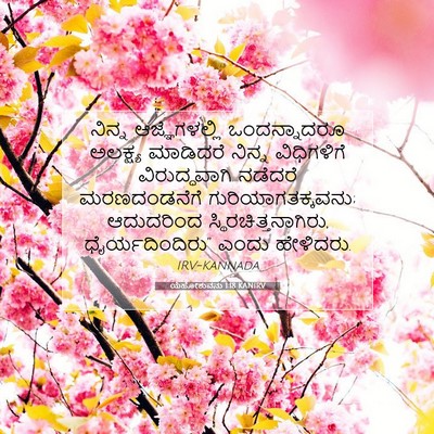 Picture 07 - ಯೆಹೋಶುವನು 1:18 KANIRV - ನಿನ್ನ ಆಜ್ಞೆಗಳಲ್ಲಿ - Bible Verse Picture