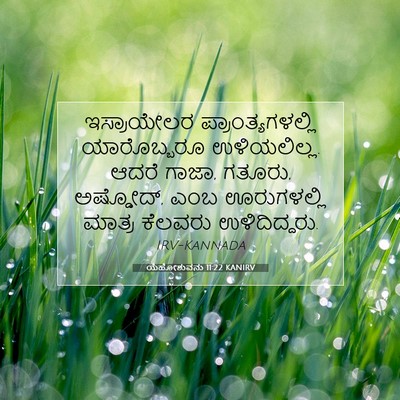 Picture 07 - ಯೆಹೋಶುವನು 11:22 KANIRV - ಇಸ್ರಾಯೇಲರ - Bible Verse Picture