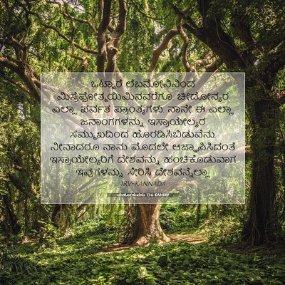 Picture 07 - ಯೆಹೋಶುವನು 13:6 KANIRV - ಒಟ್ಟಾರೆ - Bible Verse Picture