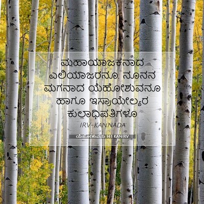 Picture 07 - ಯೆಹೋಶುವನು 14:1 KANIRV - ಮಹಾಯಾಜಕನಾದ - Bible Verse Picture