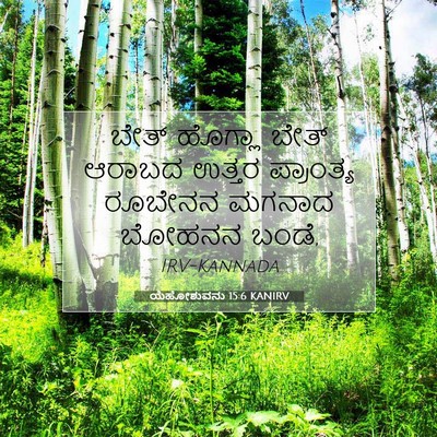 Picture 07 - ಯೆಹೋಶುವನು 15:6 KANIRV - ಬೇತ್ ಹೊಗ್ಲಾ ಬೇತ್ - Bible Verse Picture