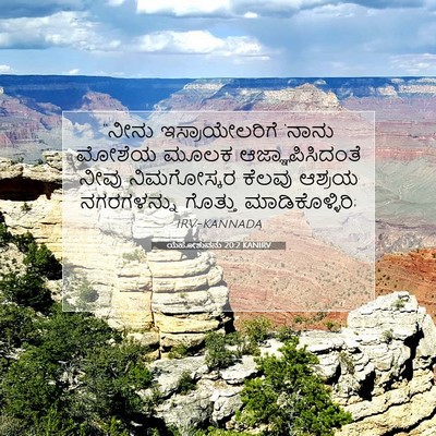 Picture 07 - ಯೆಹೋಶುವನು 20:2 KANIRV - “ನೀನು - Bible Verse Picture