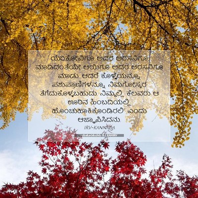 Picture 07 - ಯೆಹೋಶುವನು 8:2 KANIRV - ಯೆರಿಕೋವಿಗೂ ಅದರ - Bible Verse Picture