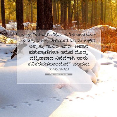 Picture 07 - ಯೋನನು 4:11 KANIRV - ಇಂಥ ಗಿಡಕ್ಕಾಗಿ - Bible Verse Picture
