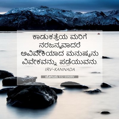 Picture 07 - ಯೋಬನು 11:12 KANIRV - ಕಾಡುಕತ್ತೆಯ ಮರಿಗೆ - Bible Verse Picture