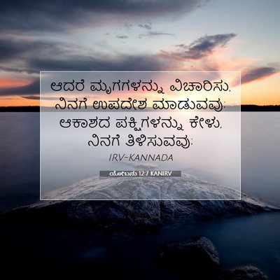Picture 07 - ಯೋಬನು 12:7 KANIRV - ಆದರೆ ಮೃಗಗಳನ್ನು - Bible Verse Picture