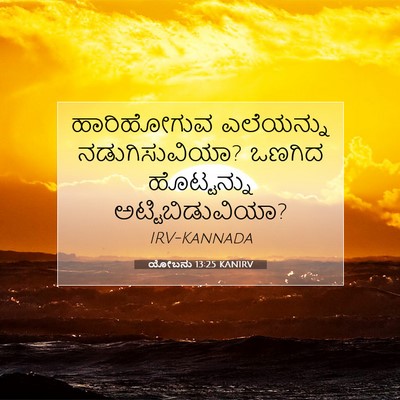 Picture 07 - ಯೋಬನು 13:25 KANIRV - ಹಾರಿಹೋಗುವ - Bible Verse Picture