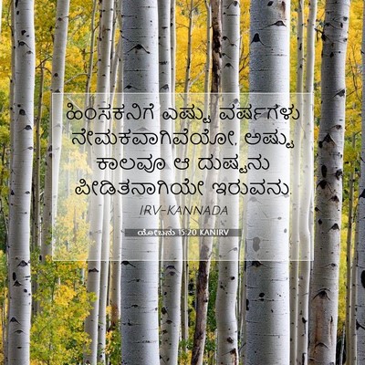 Picture 07 - ಯೋಬನು 15:20 KANIRV - ಹಿಂಸಕನಿಗೆ ಎಷ್ಟು - Bible Verse Picture