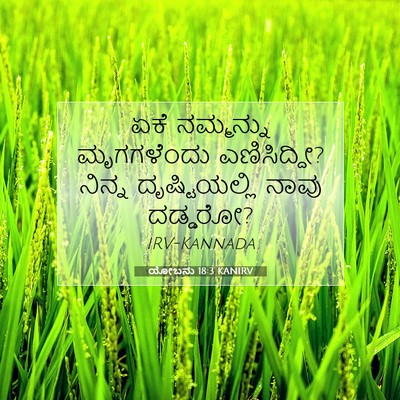 Picture 07 - ಯೋಬನು 18:3 KANIRV - ಏಕೆ ನಮ್ಮನ್ನು - Bible Verse Picture