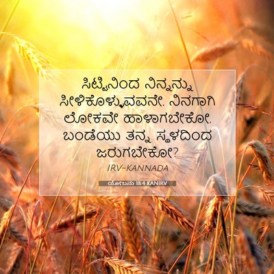 Picture 07 - ಯೋಬನು 18:4 KANIRV - ಸಿಟ್ಟಿನಿಂದ - Bible Verse Picture