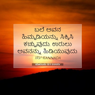 Picture 07 - ಯೋಬನು 18:9 KANIRV - ಬಲೆ ಅವನ - Bible Verse Picture