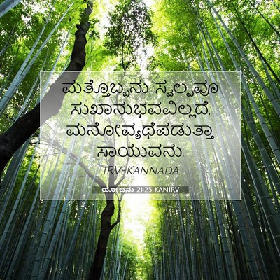 Picture 07 - ಯೋಬನು 21:25 KANIRV - ಮತ್ತೊಬ್ಬನು - Bible Verse Picture