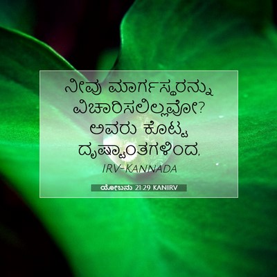Picture 07 - ಯೋಬನು 21:29 KANIRV - ನೀವು - Bible Verse Picture